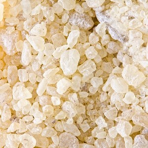 Pure Mexican White Copal Resin